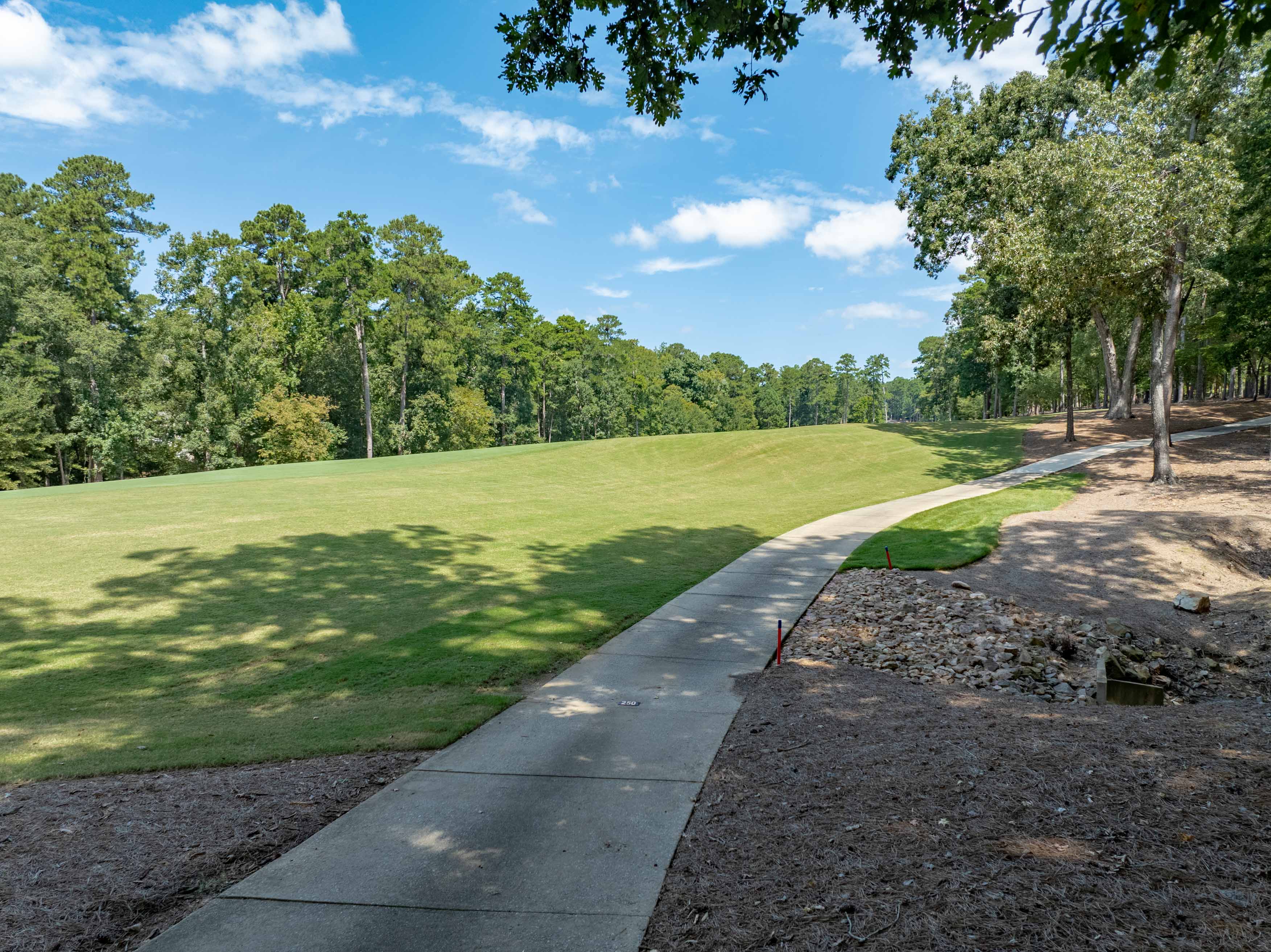 1021 Branson Bluff image 10